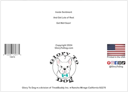 Glory To Dog Remember to Drink Plenty of Fluids (Cat Version) and Get Lots of Rest! Get Well Soon! Card with Greeting Card Envelope - Image 4