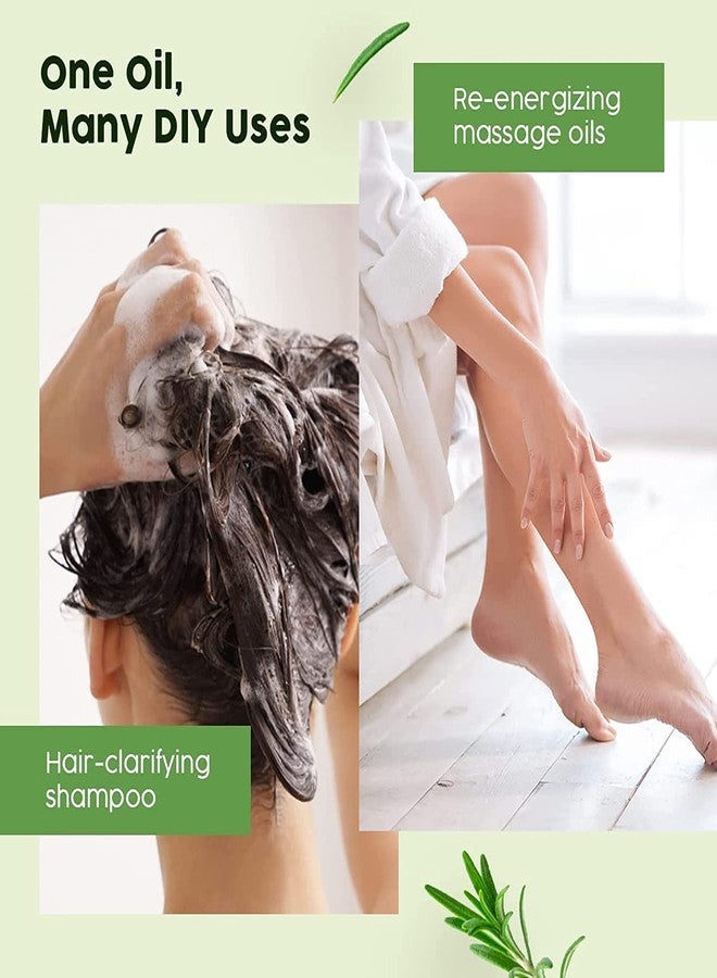 EDITH زيت إكليل الجبل العطري لنمو الشعر، والتحكم في تساقطه، وتغذيته، والعناية بالبشرة | مُختَبَر سريريًا ومعتمد من Ecocert كمنتج عضوي 100% نقي، طبيعي، غير مُخفَّف | 15 مل - Image 3