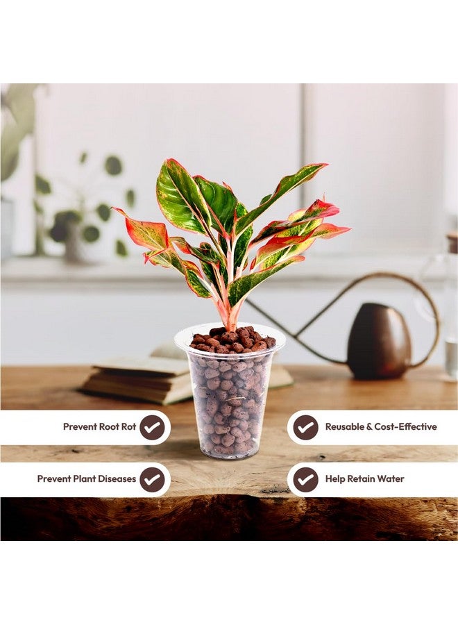 Ugaoo LECA Balls for Plants 1.8 kgs/ 6 Liter- Clay Balls for Plants, Hydroponics and Soilless Gardening-Improves Plant Growth, Aeration, and Drainage (Size: 8-15 mm) - Image 4