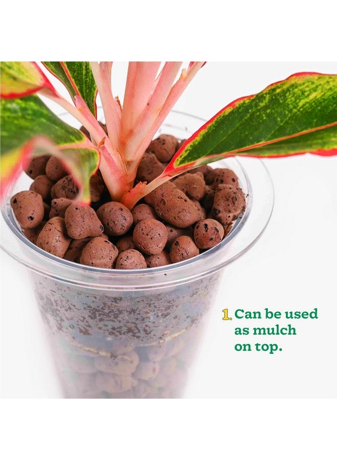 Ugaoo LECA Balls for Plants 1.8 kgs/ 6 Liter- Clay Balls for Plants, Hydroponics and Soilless Gardening-Improves Plant Growth, Aeration, and Drainage (Size: 8-15 mm) - Image 5