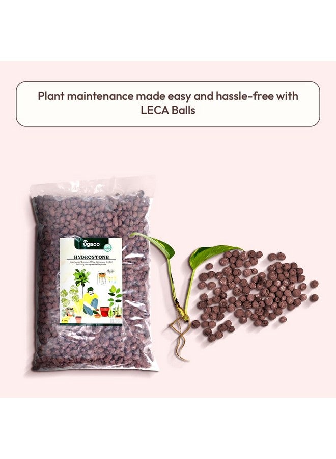 Ugaoo LECA Balls for Plants 1.8 kgs/ 6 Liter- Clay Balls for Plants, Hydroponics and Soilless Gardening-Improves Plant Growth, Aeration, and Drainage (Size: 8-15 mm) - Image 3