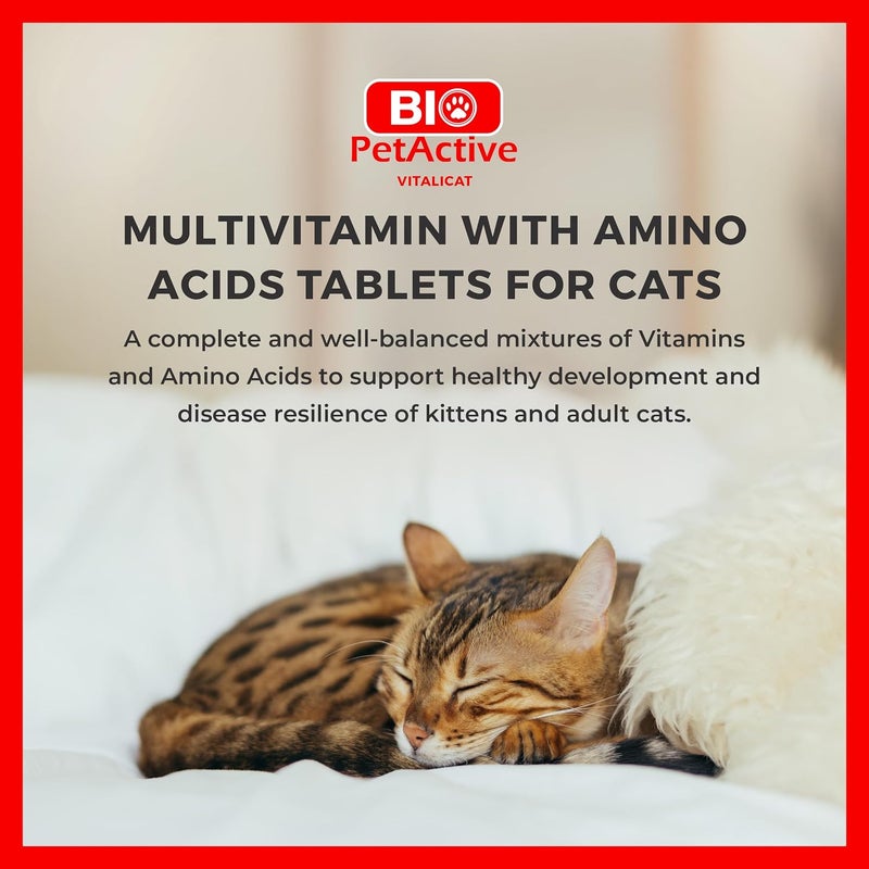 Bio PetActive Cat Multivitamin Tablets VitaliCat 60 Tablets - Image 2
