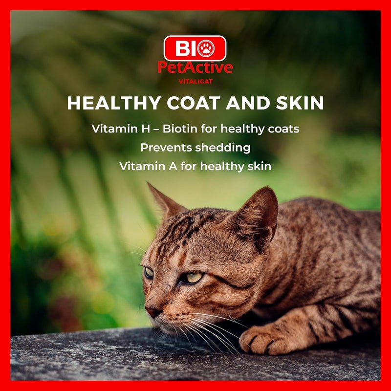 Bio PetActive Cat Multivitamin Tablets VitaliCat 60 Tablets - Image 5