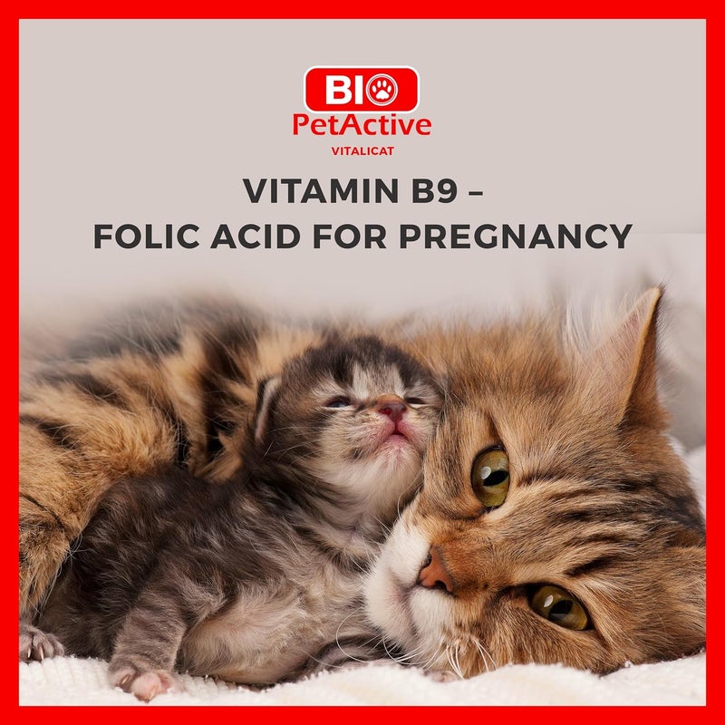 Bio PetActive Cat Multivitamin Tablets VitaliCat 60 Tablets - Image 4