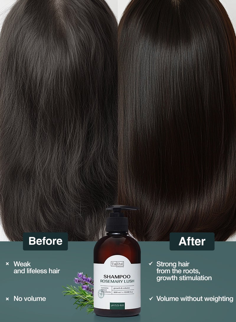 Tashe Rosemary Hair Shampoo with Hydrolyzed Collagen for Growth & Root Volume, 300 ml  - Image 2