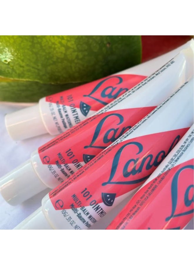لانو ليبس مرهم لانوليبس ١٠١ بنكهة البطيخ والفواكه - Image 2