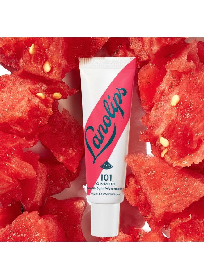لانو ليبس مرهم لانوليبس ١٠١ بنكهة البطيخ والفواكه - Image 4
