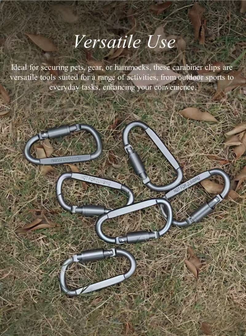 2PCS D-Clip Durable Locking Carabiner Keychain Clip Auto Locking Keychain Clips for Securing Pets, Outdoor, Camping, Hiking, Hammock, Dog Leash Harness - Image 4