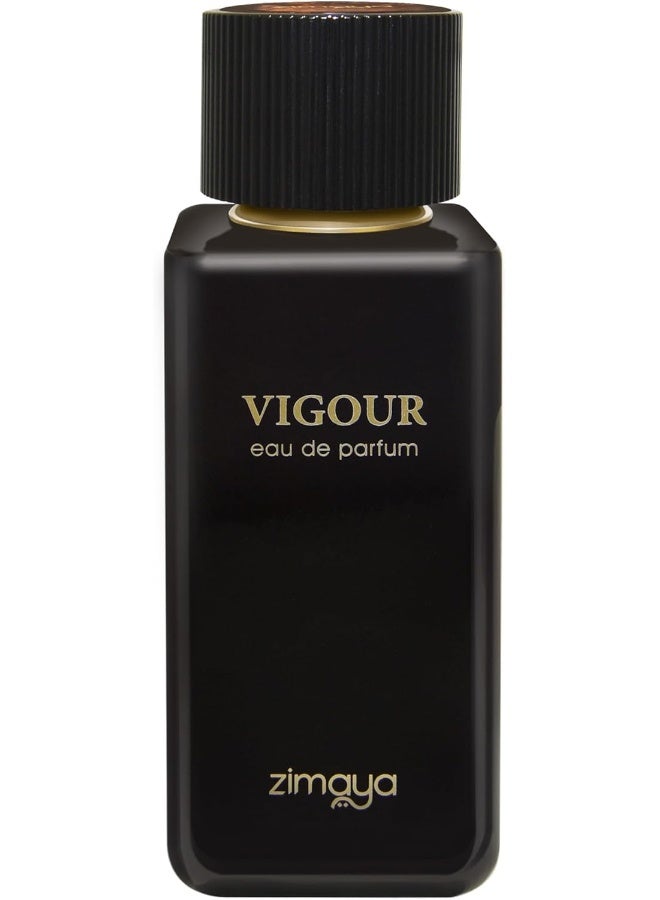 Vigour EDP 100 ML