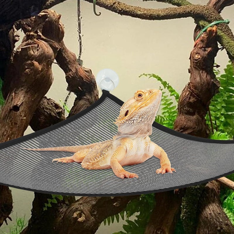 kathson Reptile Bridge for Terrarium,Bearded Dragon Wooden Bridges Gecko Hammock with Hanging Plants Lizard Lounger Bamboo Ladder Reptiles Tank Accessories Climbing for Chameleons Geckos Snakes (M) - Image 4