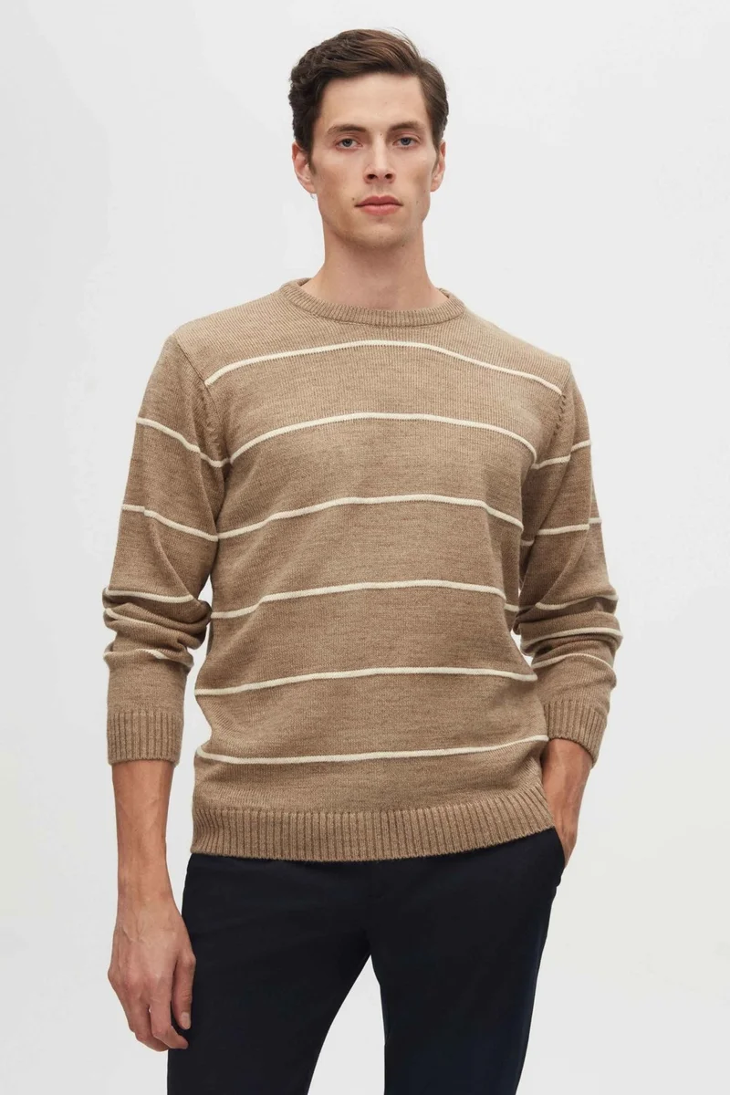 D'S DAMAT Ds Damat Regular Fit Mink Striped Non-Pilling Crew Neck Knitwear Sweater