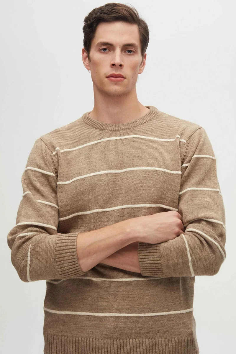 D'S DAMAT Ds Damat Regular Fit Mink Striped Non-Pilling Crew Neck Knitwear Sweater