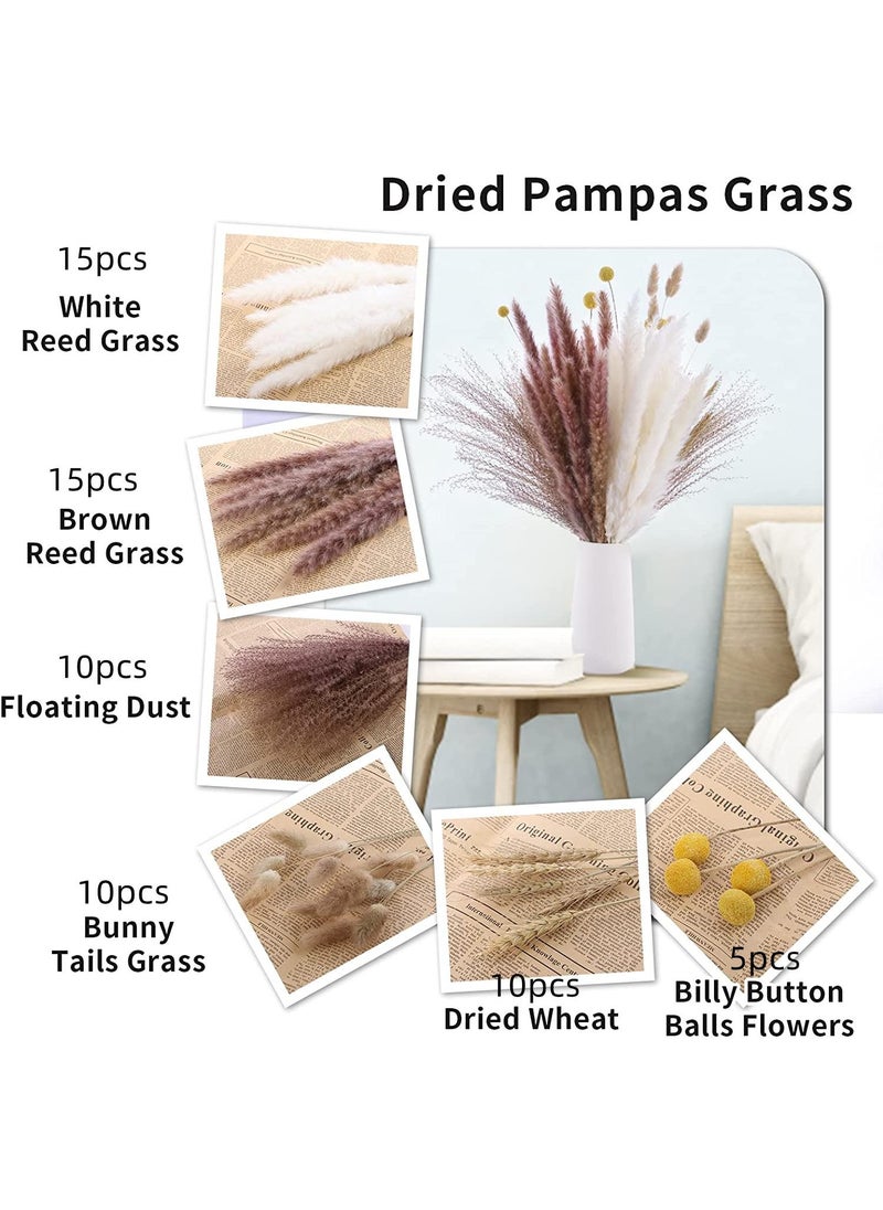 Generic 65 Pcs Dried Pampas Grass Dried Flowers Of Small Reeds Boho Natural Flowers Arrangements White Reed Bunny Tails for Home Decor Flower Living Room Balcony Wedding Party 