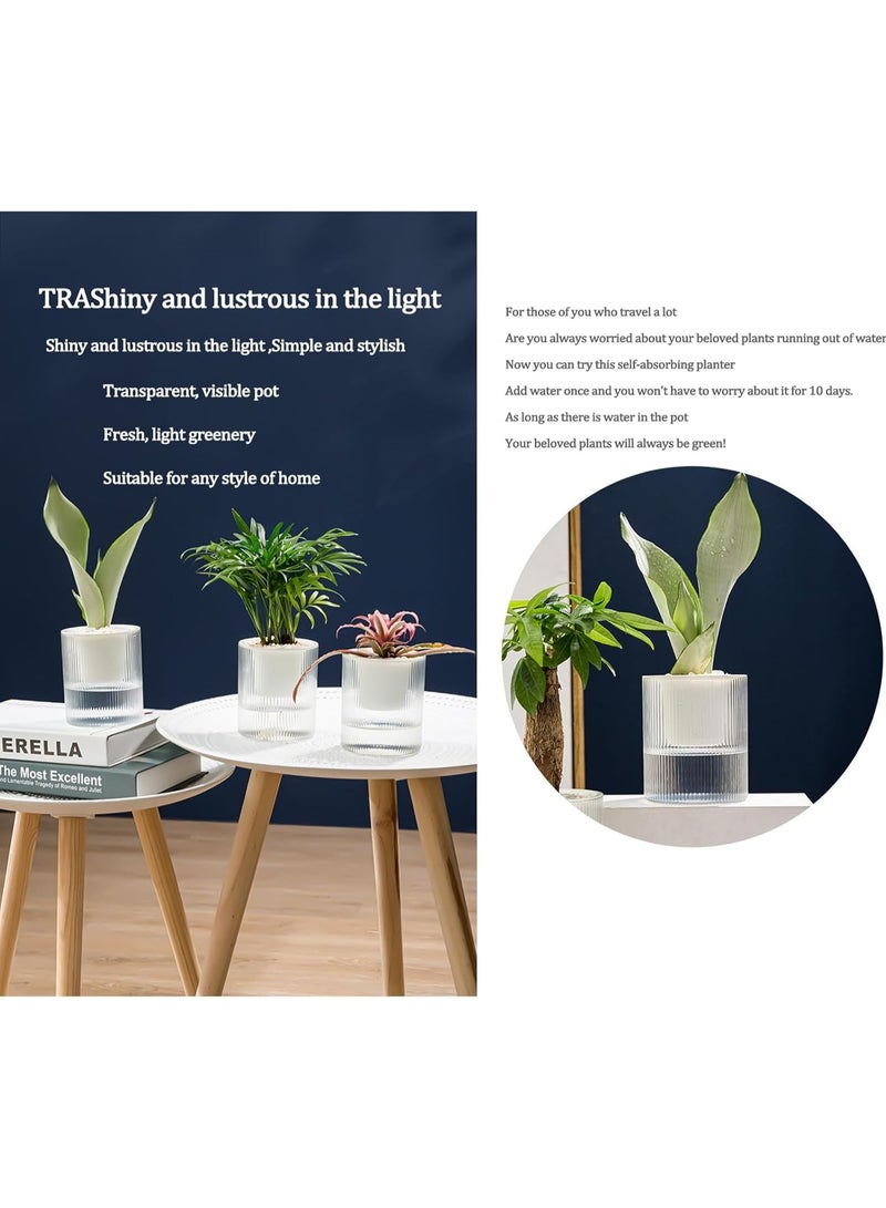 PTTIMFFM 2-Pack Clear Self-Watering Flower Pots with Wick System, Transparent Decorative Planters for Indoor & Outdoor Plants - Image 3