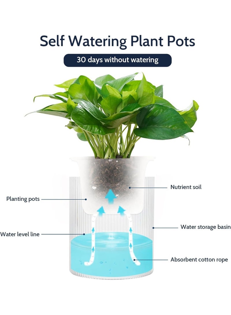 PTTIMFFM 2-Pack Clear Self-Watering Flower Pots with Wick System, Transparent Decorative Planters for Indoor & Outdoor Plants - Image 2