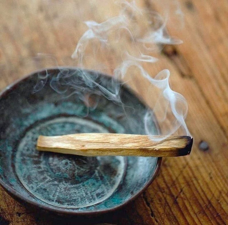 Natural & Organic Palo Santo Sticks | Holy Wood Incense Sticks | Palo Santo Sticks for Clear Negative Energy (Pack of 6) - Image 2