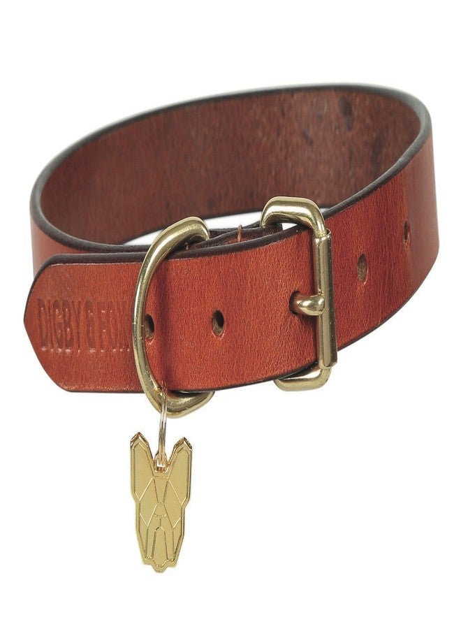 Digby & Fox Flat Leather Dog Collar (Large, Tan)