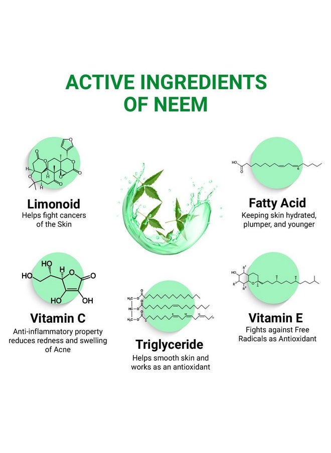 Keya Seth Aromatherapy Keya Seth Aromatherapy Neem Gel Moisturizer For Oily & Sensitive Skin Prevents Acne & Pimple Rashes Skin Allergies & Skin Eruption With Pure Neem Extract 190Gm  - Image 3