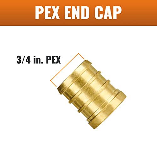 SUNGATOR تركيبات PEX من SUNGATOR 3/4 بوصة، عبوة 25 قطعة، غطاء نهاية PEX بلا رصاص، نحاس معتمد من NSF و UPC - Image 2