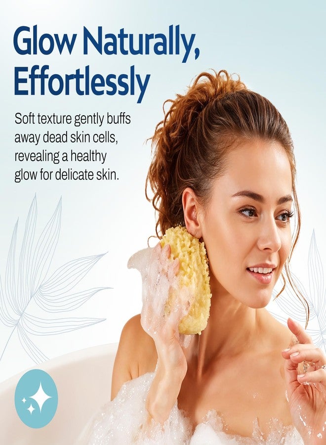 HartFelt Delicate Skin Wool Sea Sponge 4 in | Real Natural Sponges for Body and Face Gentle Care | Luxurious Lather - Image 2