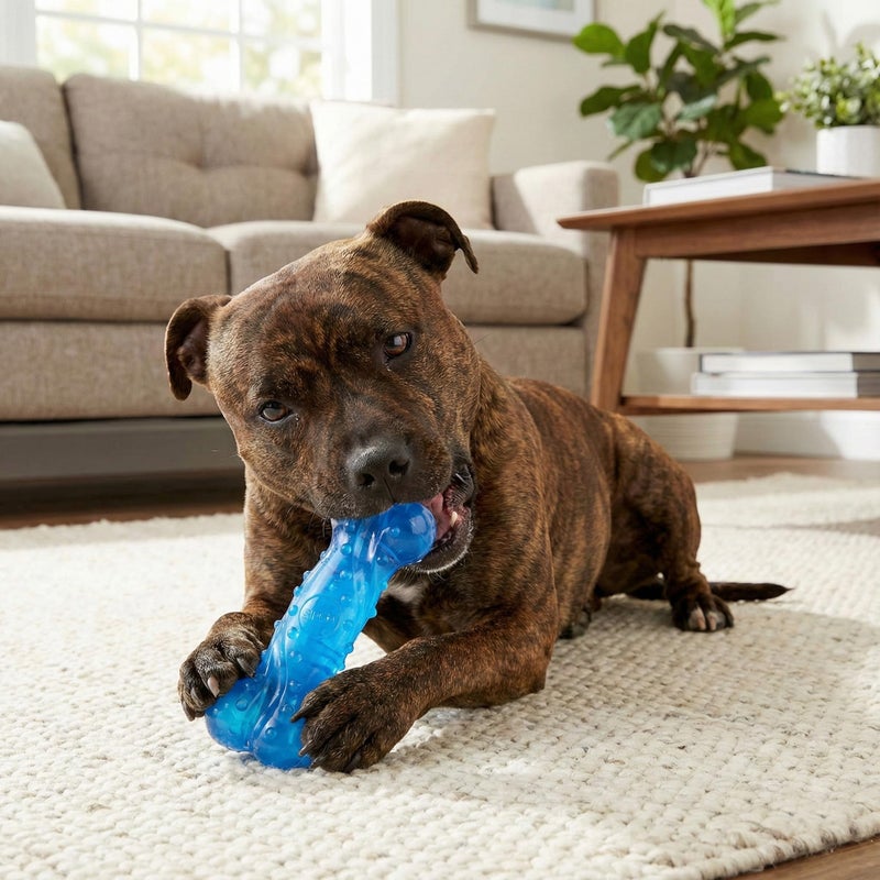 SPOT Play Strong Scent-sations Bone - Scent-Infused, Strong, Durable TPR Rubber, Heavy Duty Dog Toys for Aggressive Chewers up to 45lbs, Perfect for Puppies & Medium Breeds, 6in, Bacon Flavored - Image 3