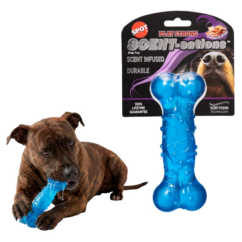 SPOT Play Strong Scent-sations Bone - Scent-Infused, Strong, Durable TPR Rubber, Heavy Duty Dog Toys for Aggressive Chewers up to 45lbs, Perfect for Puppies & Medium Breeds, 6in, Bacon Flavored - Image 1