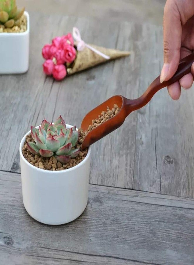 SONGZIMING 15 Pieces Succulent Plants Tools, Mini Garden Hand Tools Set Transplanting Tools Miniature Planting Gardening Tool Set for Indoor Miniature Fairy Garden Plant Care - Image 4