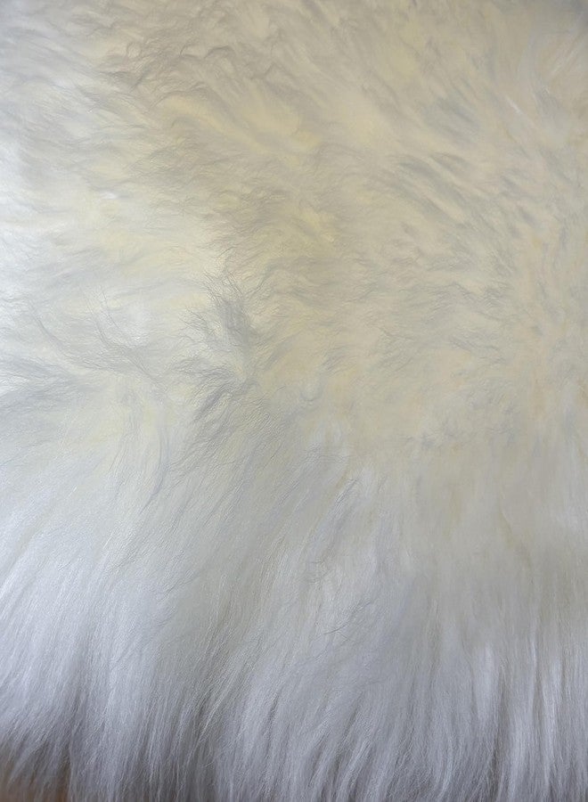 Kopal Sheepskin Chair Pad, Genuine Natural Lambskin Cushion with Foam Padded, 18x18 Inches, Natural White, 1 Pack - Image 3