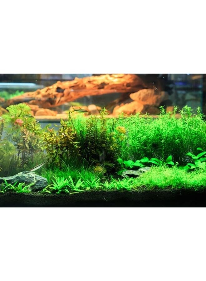 Aquarium landscaping water grass mud fish tank substrate water grass planting soil not muddy water - Image 2