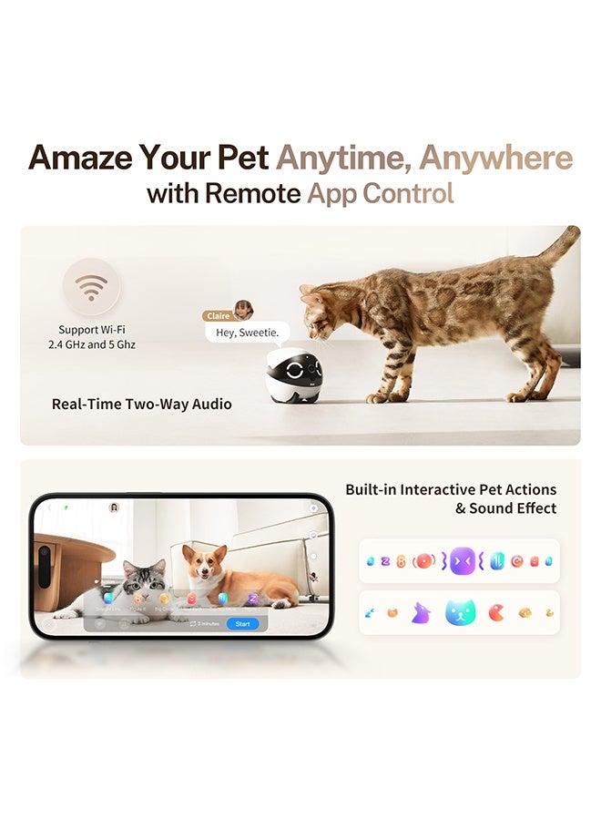 اينابوت Enabot 2K Camera Robot ROLA Mini: كاميرا للحيوانات الأليفة قابلة للإزالة ، تعمل بالبطارية ، تطبيق الهاتف المحمول ، كاميرا داخلية مع تحدث بزر واحد ، تحدث ثنائي الاتجاه ، رؤية ليلية ، كشف الحركة ، تسجيل الفيديو - Image 5