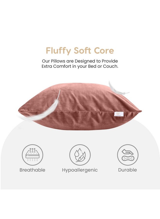 MY ARMOR Microfiber Square Pillow Cushion for Sofa & Bed | Soft, Fluffy for Comfort & Back Support | Breathable, Washable | Premium Velvet Outer Cover with Zip | Peach, Pack of 1 [24" x 24"] - pzsku/ZDCAE3F8E3A6DAD004177Z/45/_/1738306840/0b9c8ef0-3aa4-4bc6-947c-914ec93188c7