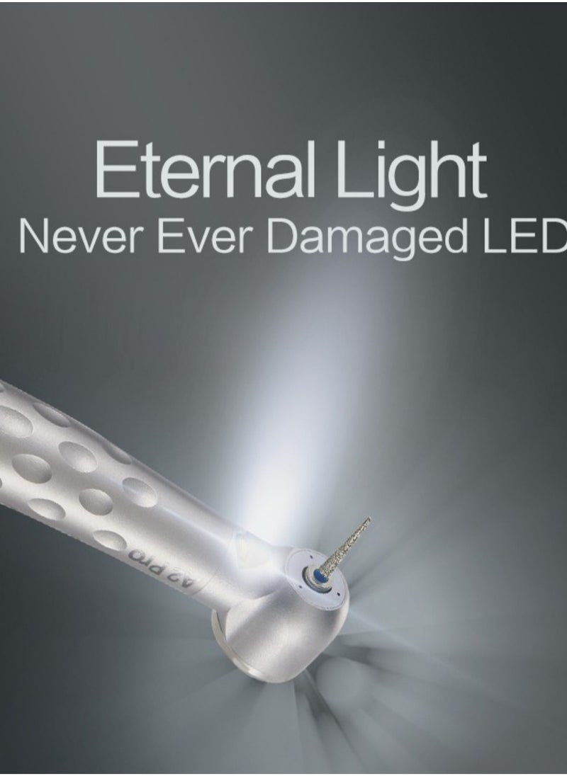 AppleDental - High Speed LED Hand piece Apple Dental A2 pro - Image 1