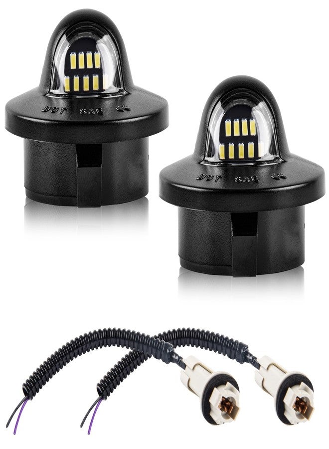 Gempro Led License Plate Light with Socket Wire Harness Compatible with Ford F150 F250 F350 F450 F550 Superduty Bronco Excursion Ranger Expedition Explorer Rear Tag Lamps - Image 1