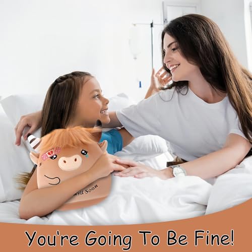 LeYoHa Get Well Highland Cow Plush Adorable Cow Stuffed Animal Toy for All Ages Perfect Get Well Gift for Kids 945 Inch - Image 5