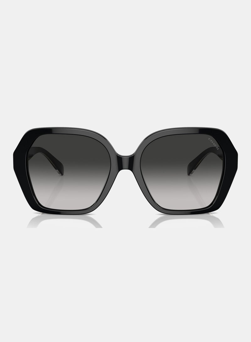 COACH Full Rim Irregular Sunglasses 0HC8404U - Image 5