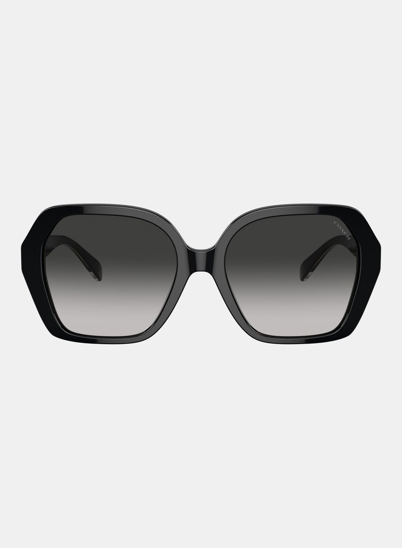 COACH Full Rim Irregular Sunglasses 0HC8404U - Image 1