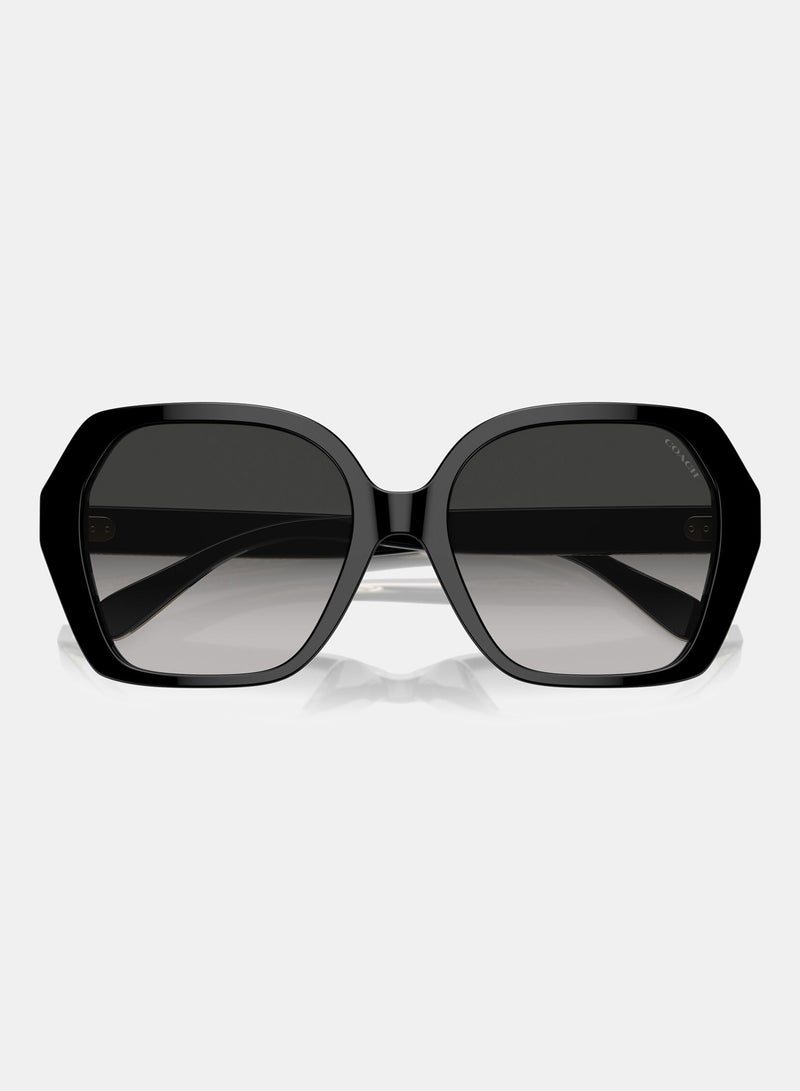 COACH Full Rim Irregular Sunglasses 0HC8404U - Image 4