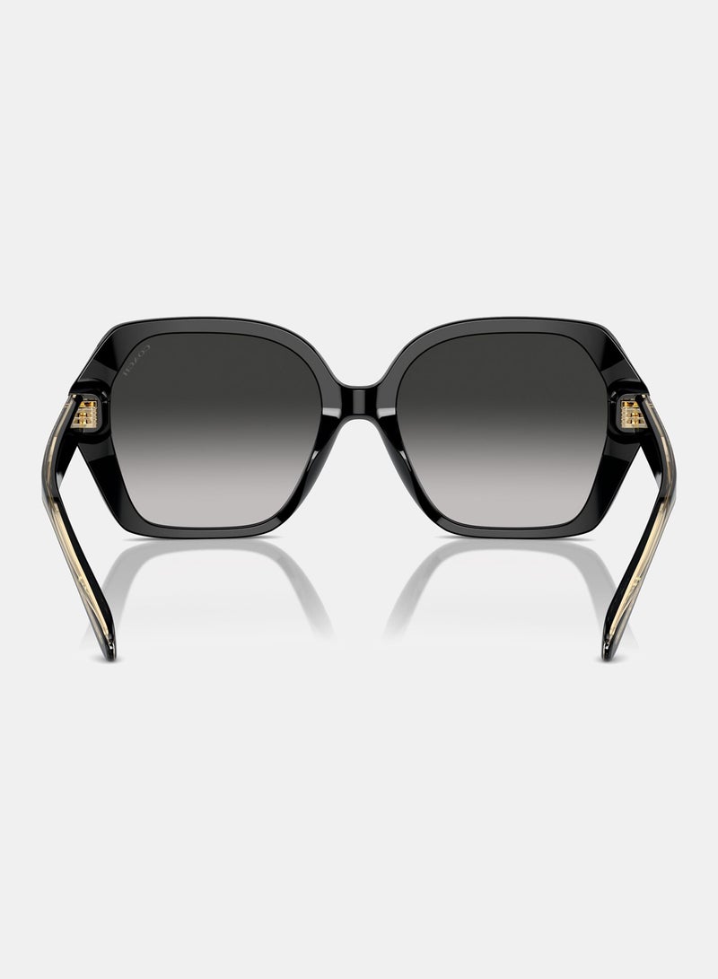 COACH Full Rim Irregular Sunglasses 0HC8404U - Image 3