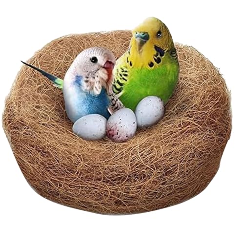 Smiling Pets Sterilized Natural Coconut Fiber for Bird Nest | 200gm Nesting Material for Birds, Parrots, and Small Pets | Comfortable Bedding for Nesting Box, Hideouts & Breeding - Image 4