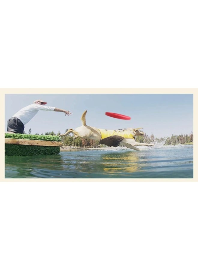 Pado Eva Chomp Chum Frisbee Dog Toy - 20cm - Image 3