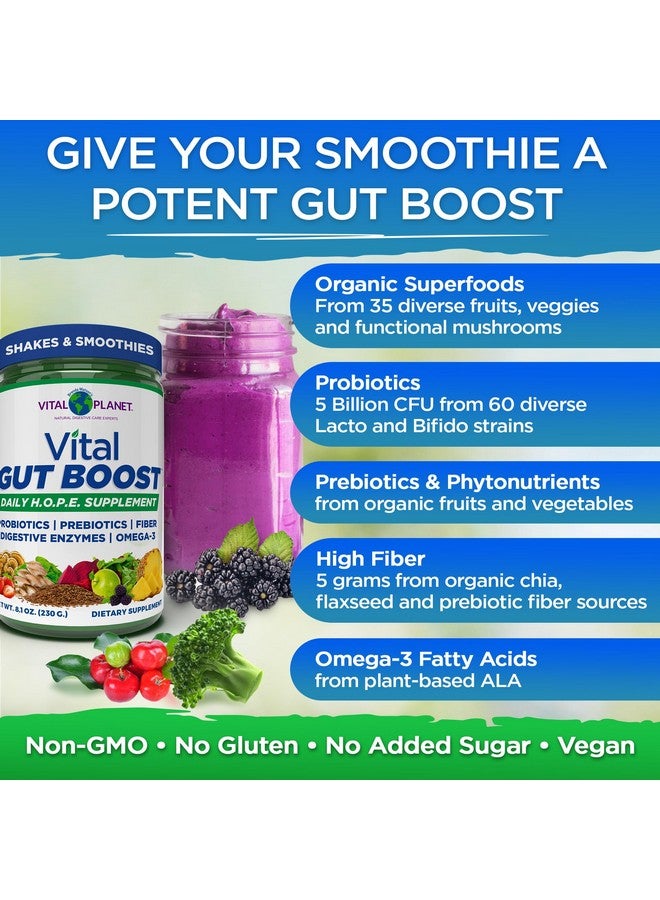 Vital Planet - Vital Gut Boost Powder by Brenda Watson, PBS Gut Check Hope Supplement with Fiber 35, Omega 3 Oil, Probiotics, and Digestive Enzymes, 8.1oz, 230 Grams, 30 Servings - Image 4
