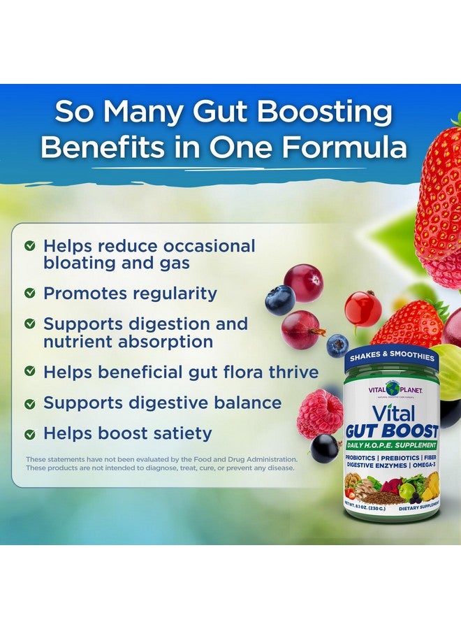 Vital Planet - Vital Gut Boost Powder by Brenda Watson, PBS Gut Check Hope Supplement with Fiber 35, Omega 3 Oil, Probiotics, and Digestive Enzymes, 8.1oz, 230 Grams, 30 Servings - Image 3