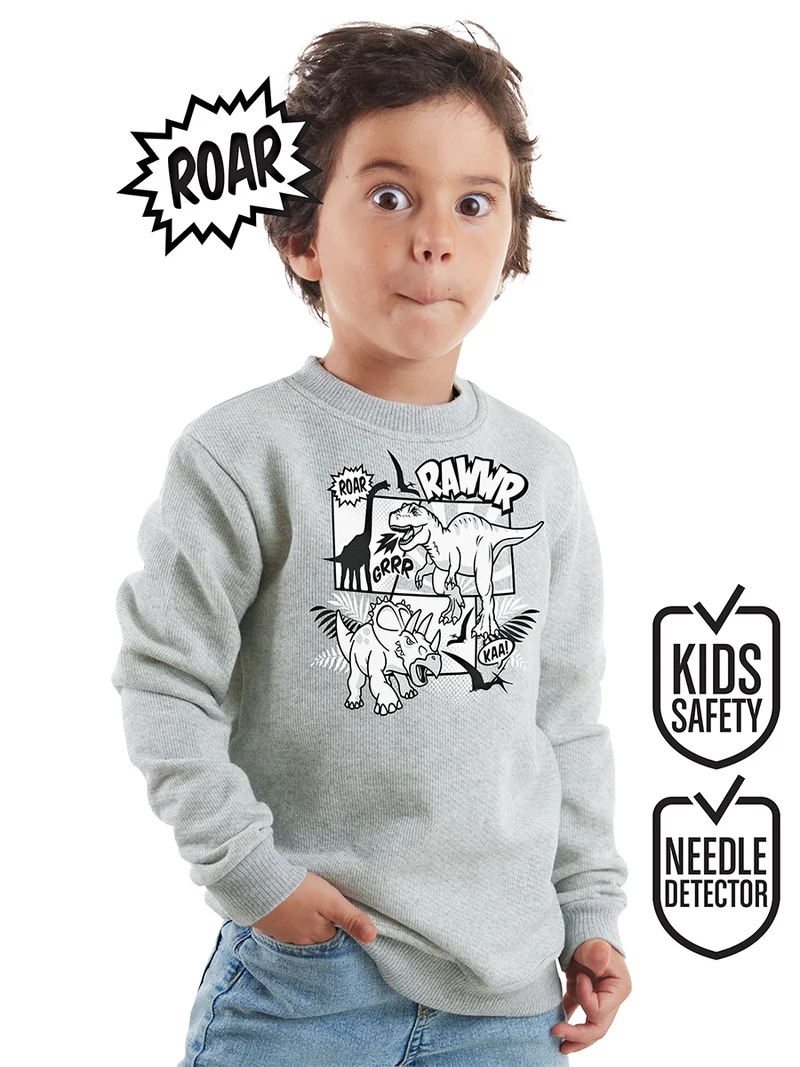 Denokids Cartoon Dino Boy Grey Sweatshirt