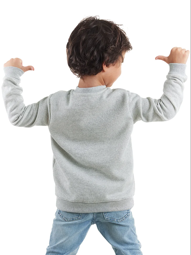 Denokids Cartoon Dino Boy Grey Sweatshirt