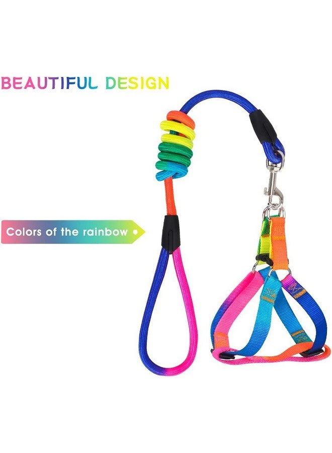 Rainbow Color Dog Harness & Leash Set For Small & Medium Size Adult Dogs, Dog Harness With Rope Leash (Adjustable Chest Size 38-48Cm) - Image 5