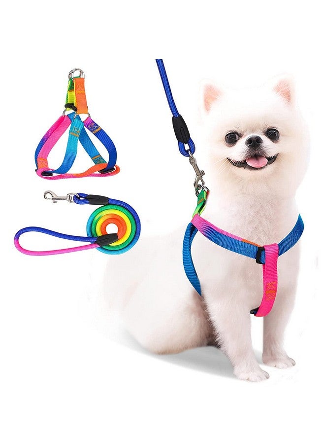 Rainbow Color Dog Harness & Leash Set For Small & Medium Size Adult Dogs, Dog Harness With Rope Leash (Adjustable Chest Size 38-48Cm) - Image 1