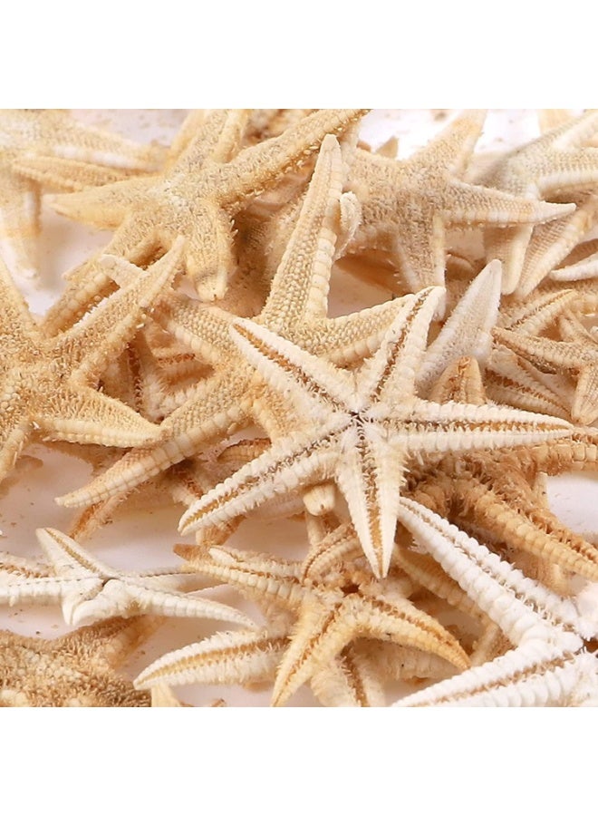100 Pcs Small Starfish Star Sea Shell Beach for Craft, 0.4""-1.9""Starfish, Easily Be Spray Painted, Full of Festival Atmosphere, for Wedding Decor, Beach Theme Party, Home Decoration - Image 3
