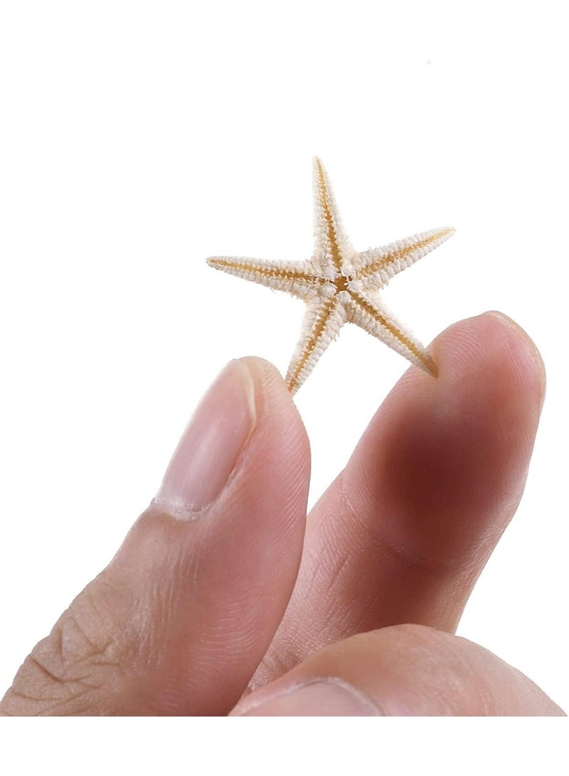 100 Pcs Small Starfish Star Sea Shell Beach for Craft, 0.4""-1.9""Starfish, Easily Be Spray Painted, Full of Festival Atmosphere, for Wedding Decor, Beach Theme Party, Home Decoration - Image 4