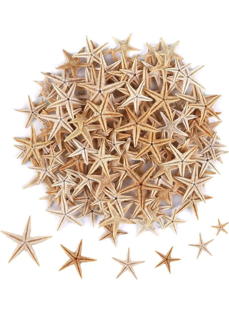 100 Pcs Small Starfish Star Sea Shell Beach for Craft, 0.4""-1.9""Starfish, Easily Be Spray Painted, Full of Festival Atmosphere, for Wedding Decor, Beach Theme Party, Home Decoration - Image 1