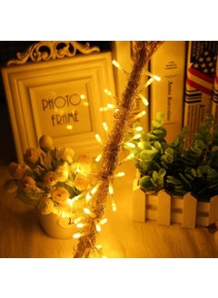 ASTRAL Transparent Cable LED Light 10 mt 8 Function Daylight Yellow Color  - Image 3